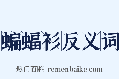 蝙蝠衫反义词是什么意思的图片